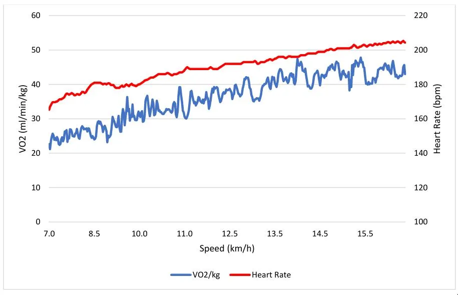 VO2max against running speed.